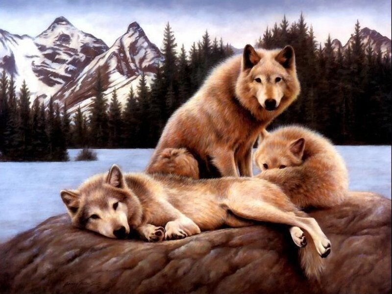 Three Wolves on Rock — Brown, Serene, Winter, Painting