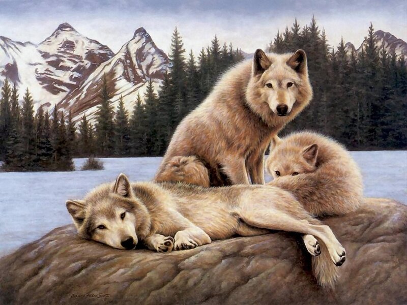 Three Wolves on Rock — Brown