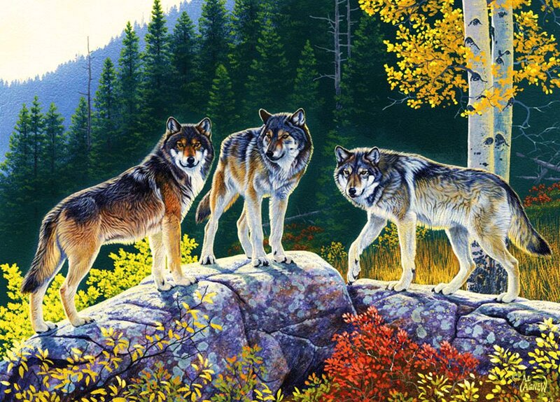 Three Wolves on Rock — Green