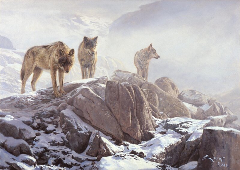Three Wolves on Rocks — Gray