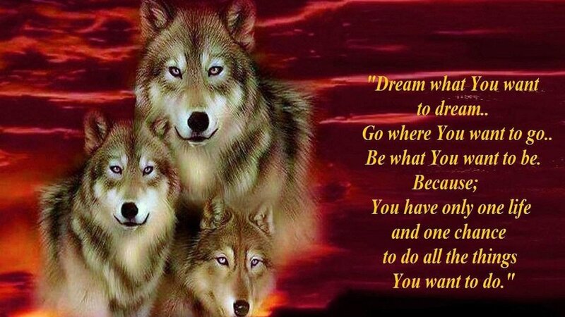 Three Wolves — Red, Dramatic