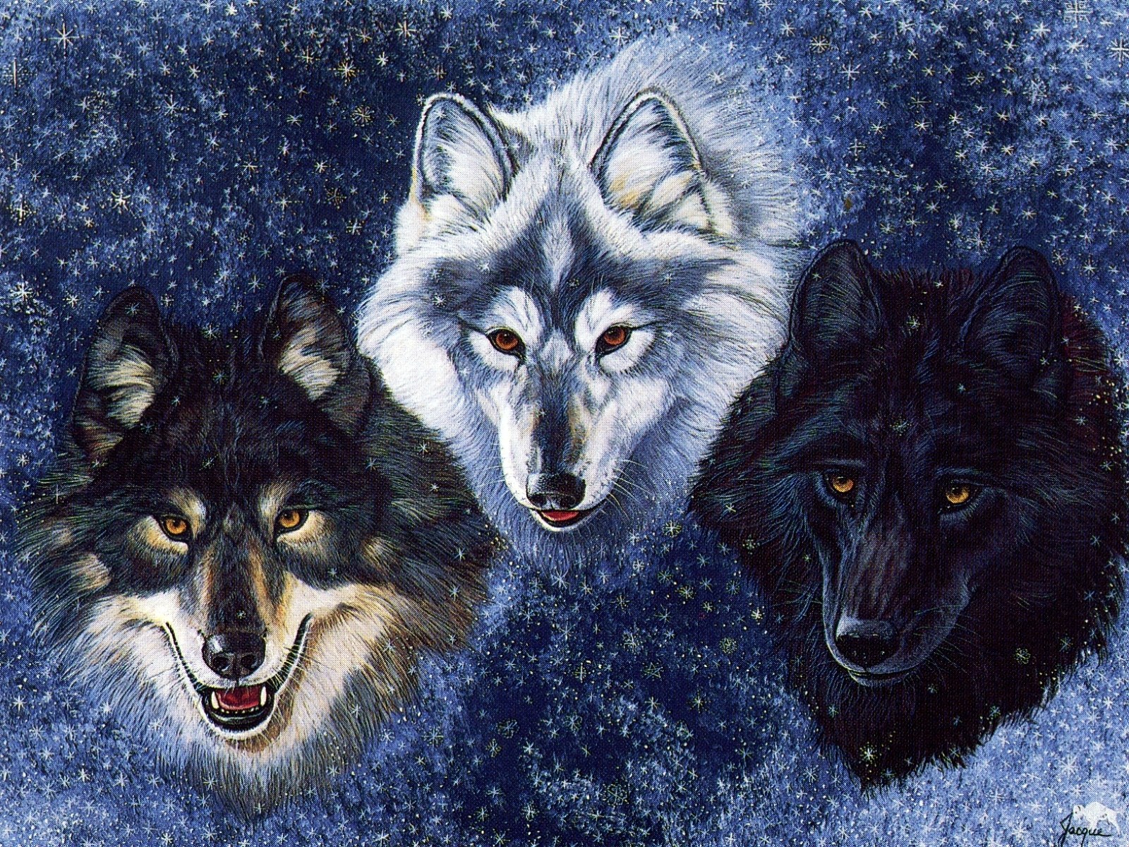 Three wolves under starry sky