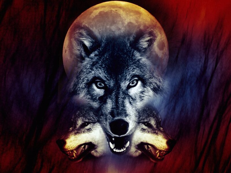 Three Wolves with Moon