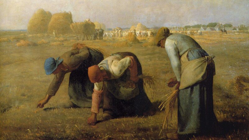 Three Women Harvesting Wheat — Brown
