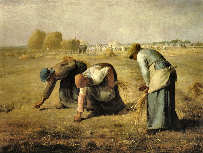 Three Women Harvesting Wheat