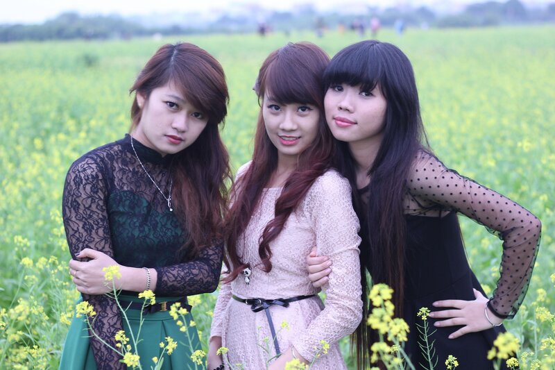 Three women in a flower field