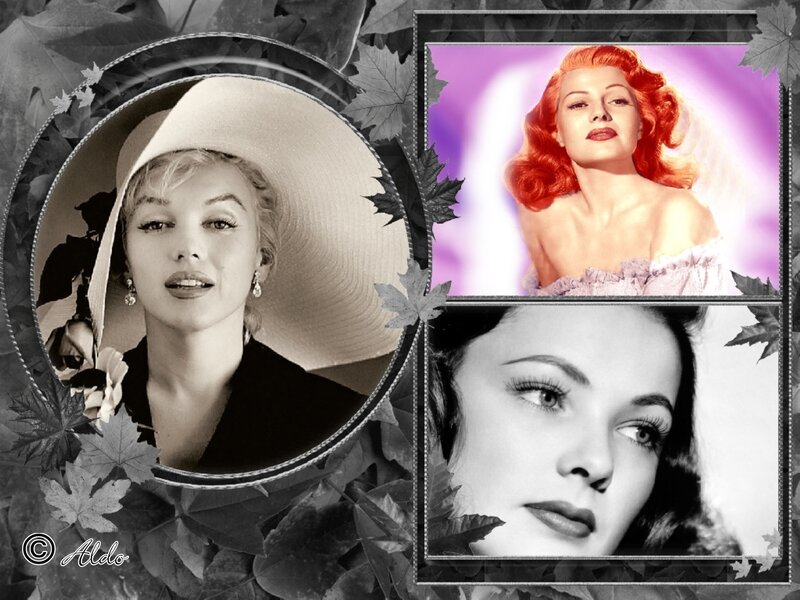 Three Women in Portraits