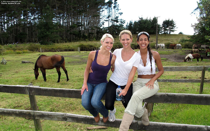 Three Women on Fence