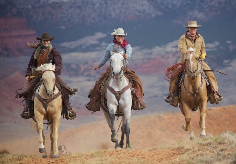 Three Women on Horses — Brown, Adventurous