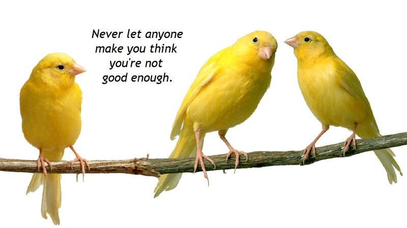 Three Yellow Canaries — Calm