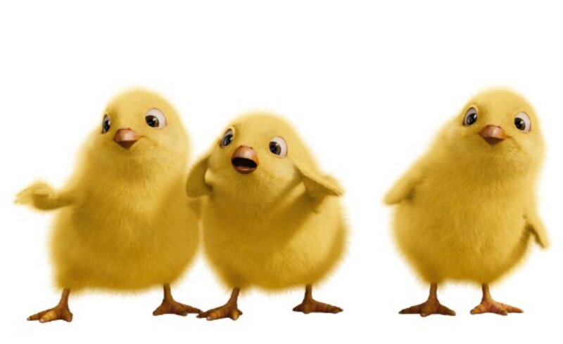 Three Yellow Chicks — Playful, 3d Render, White Background