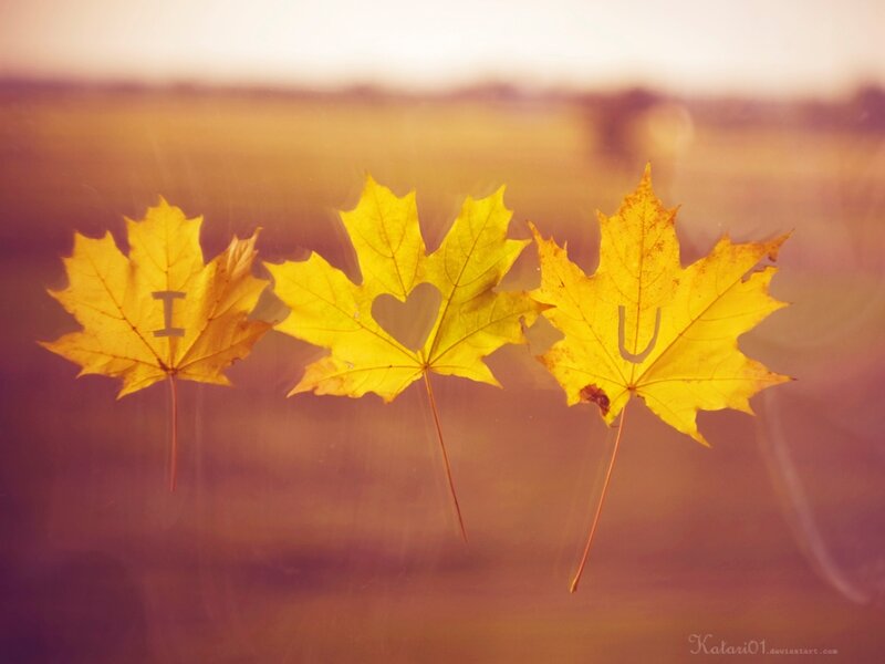 Three Yellow Maple Leaves
