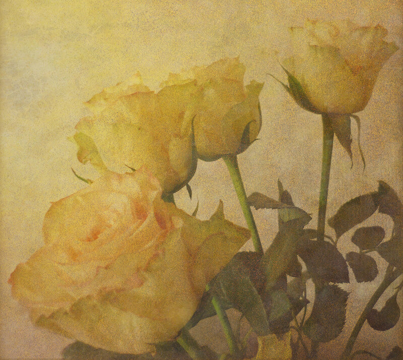 Three Yellow Roses — Calm, Painting