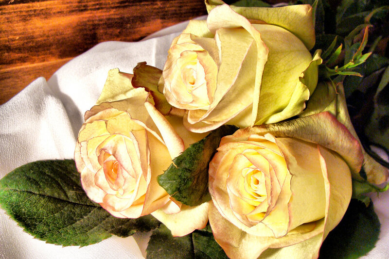 Three Yellow Roses — Calm, Photograph, Green Leaves