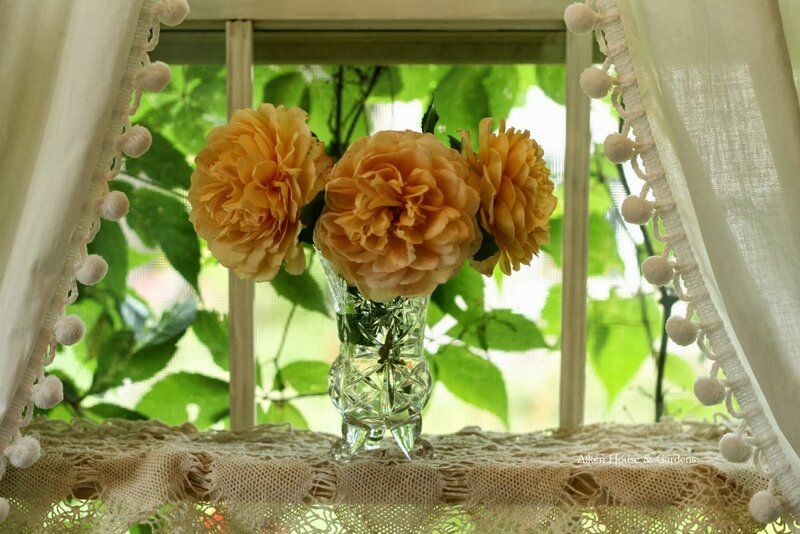 Three Yellow Roses — Serene, Afternoon, Photograph