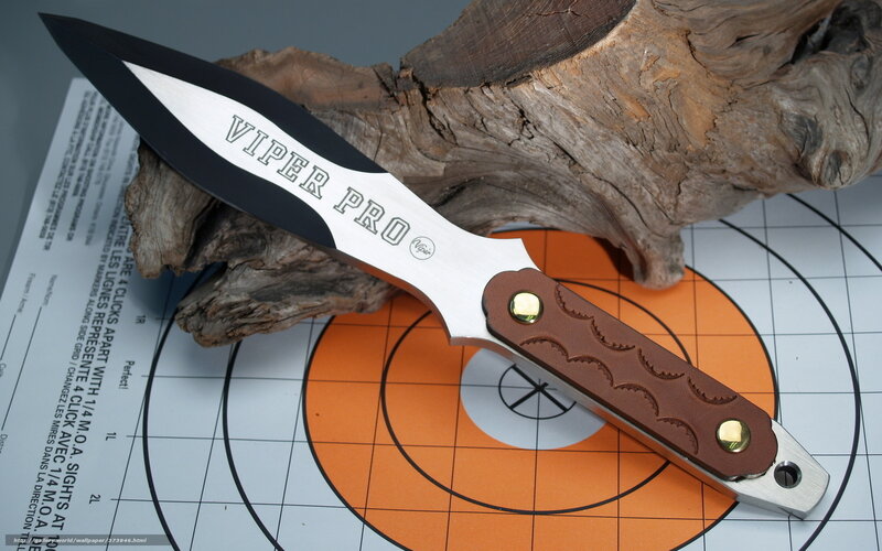 Throwing Knife on Target