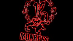 12 Monkeys
