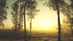 1600x1200 paintedlandofsun