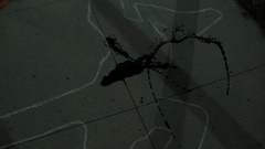 1950 haha thanks You