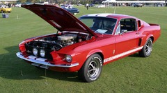 1967 shelby gt500