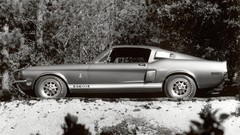 1968 shelby gt500