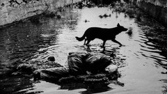 1979 grayscale Stalker (movie) Andrei Tarkovsky
