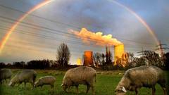 2002 rtreexh ss full