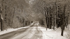 2004 1920x1200 contributing