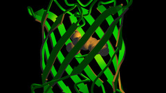 2008 nigms protein Hi