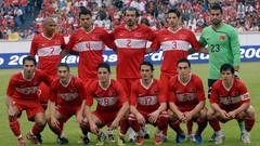 2008 turkish football team hamit altintop nihat kahveci gokhan 