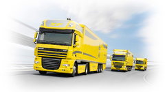 2009 daf model Range