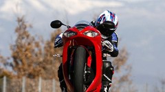 2009 Daytona wheelie high