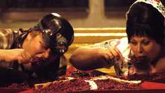 2009 taxidermia high