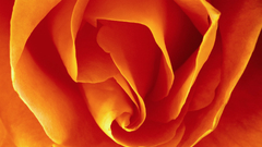 2010 zrzut ekranu godz