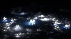 3D view abstract Flowers