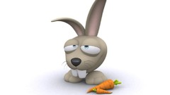 3D view Animals funny