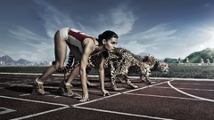 3D view cheetahs track