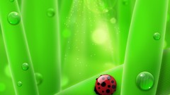 3D view nature water