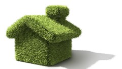 3D view white houses