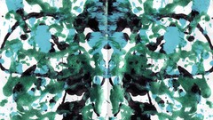 7chan Rorschach test