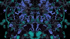 7chan Rorschach test