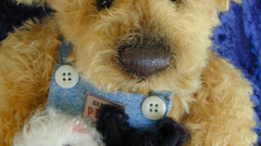 Abdrew and pups copy