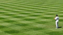 Abreu Bobby Green field