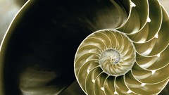 Abstract 3d futuristic