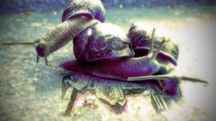 Abstract Animals wildlife snails
