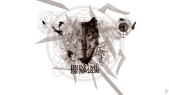 abstract artwork wolf Animals Birds digital art