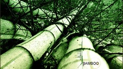 Abstract bamboo