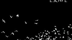 Abstract Birds Escape black