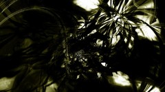 Abstract black background