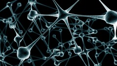 abstract black fractal 3d neurons digital art Science cgi render